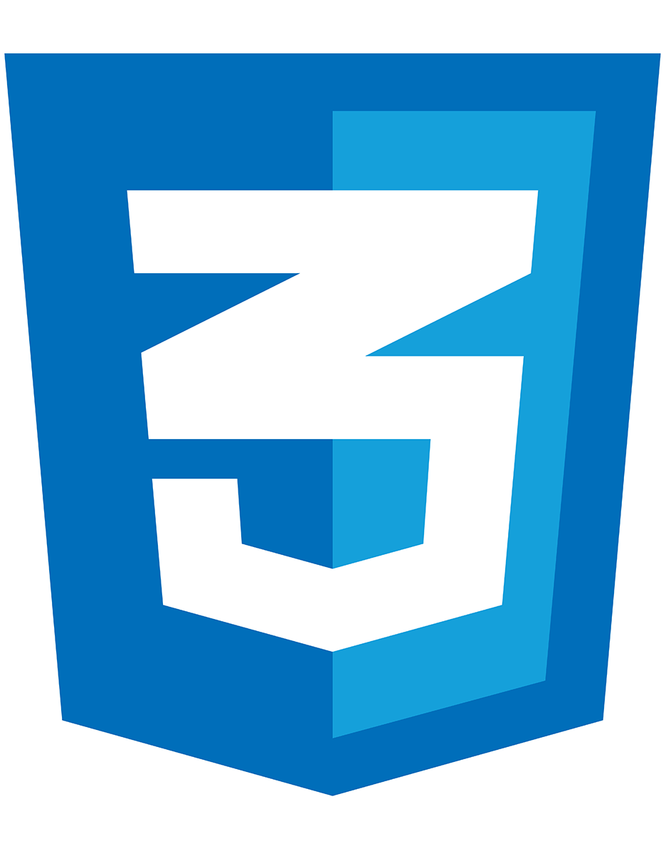 CSS